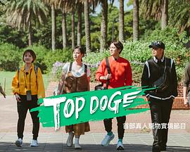 海角官方首页《TOP DOG》免费在线观看