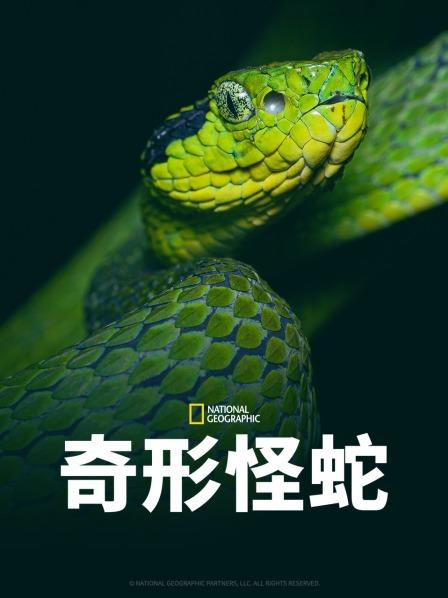 海角换妻《奇形怪蛇》免费在线观看